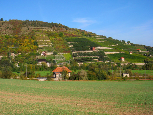 Across the Unstrut River from near Ni&szlig;mitz.